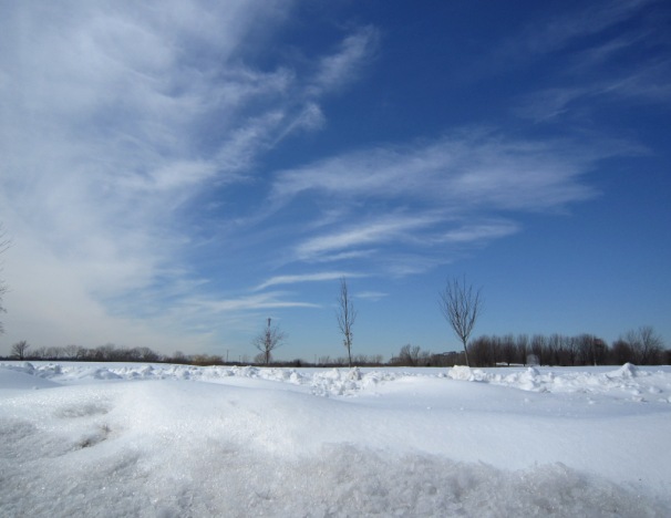 b0173754_1415192.jpg
