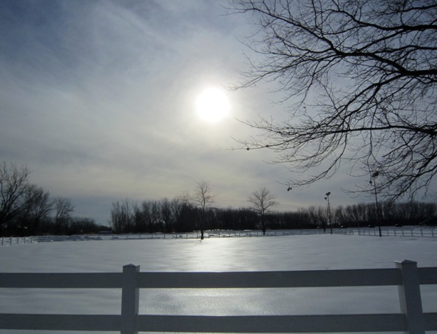 b0173754_14193456.jpg