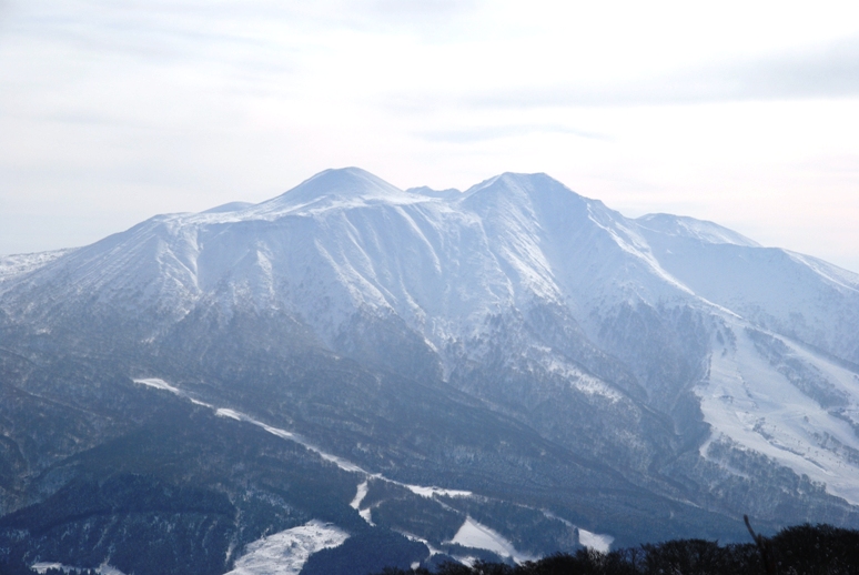 d0169556_18152596.jpg