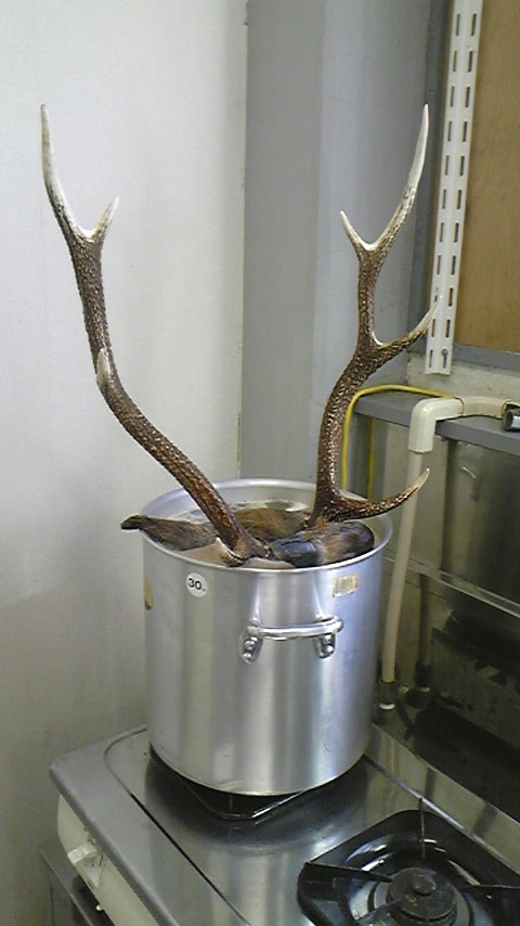 e0118274_1614462.jpg