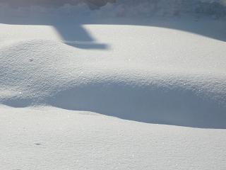 c0175679_10342825.jpg