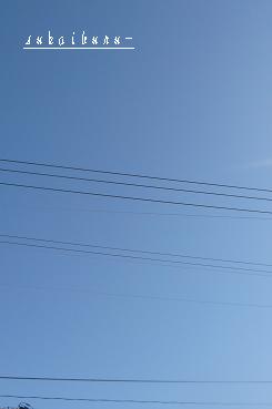 c0175679_103438.jpg