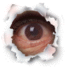 d0061579_1493392.gif