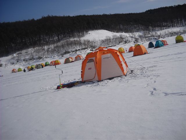 d0164783_1912786.jpg