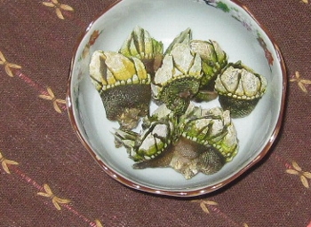 f0003283_2033239.jpg