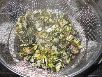 f0003283_203641.jpg