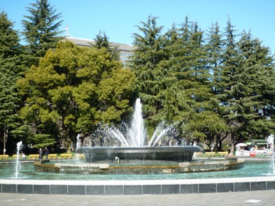 e0194987_10464552.jpg