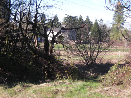 d0000995_1505751.jpg