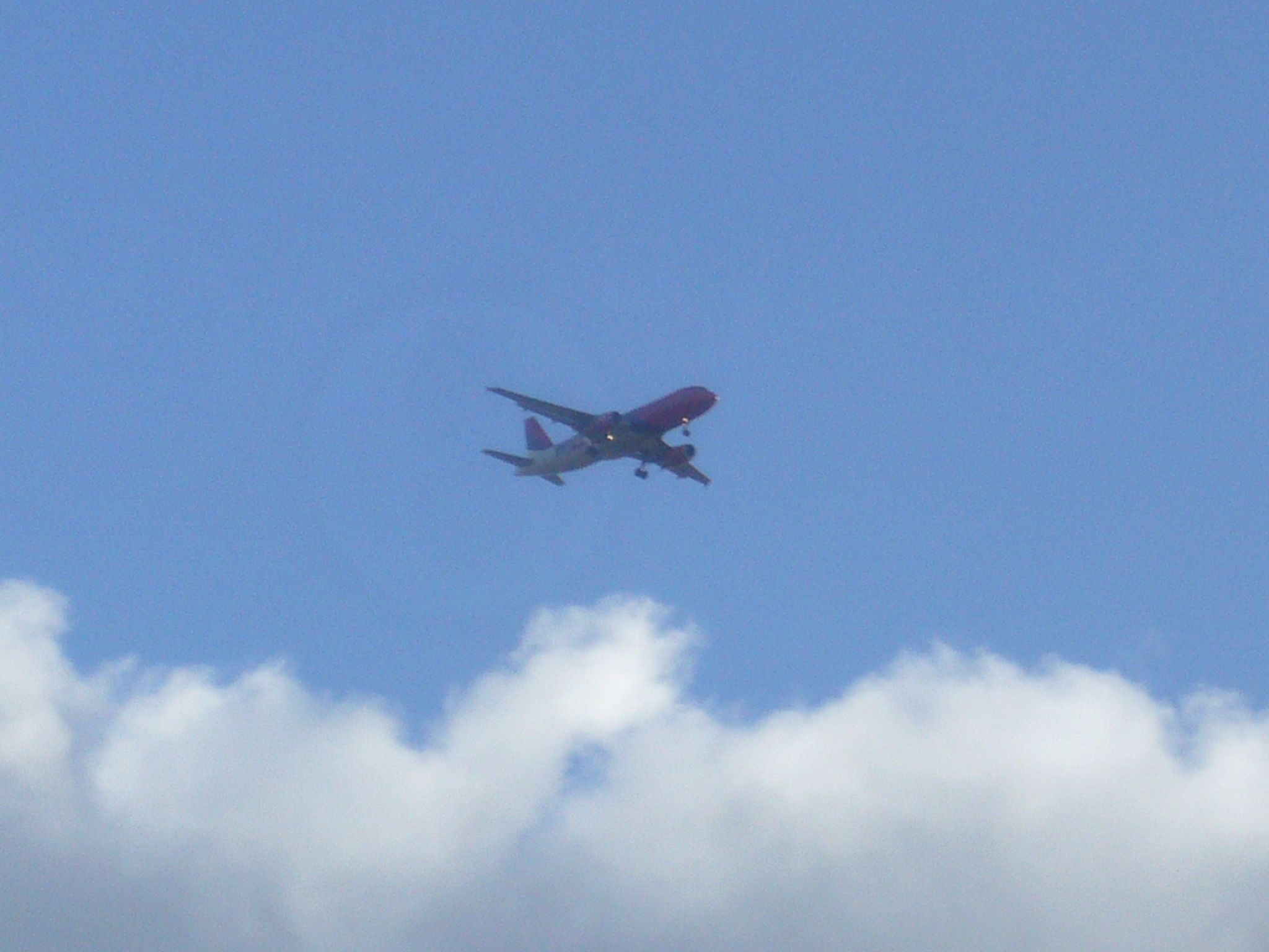 f0169397_2175633.jpg