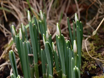 b0110999_05041.jpg