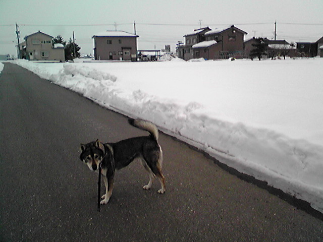 f0079202_21532822.jpg