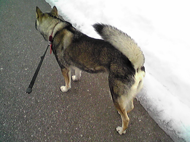 f0079202_21532853.jpg