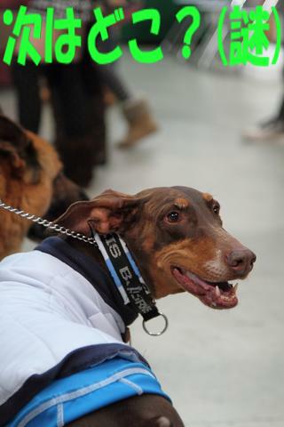 e0100007_21565669.jpg