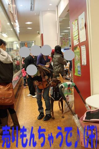 e0100007_21571870.jpg