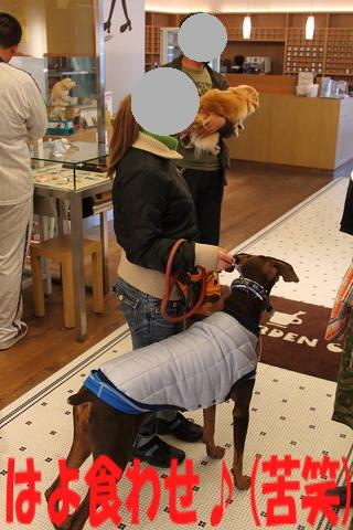 e0100007_2158340.jpg
