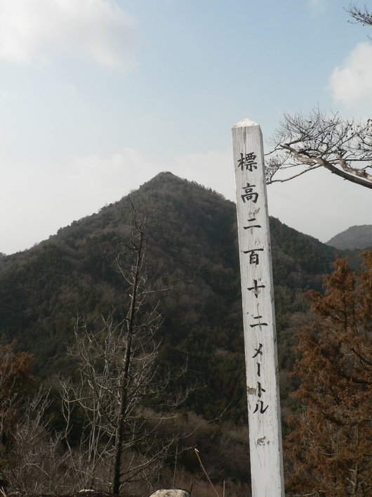 f0219710_1561099.jpg