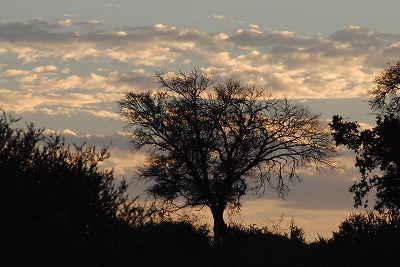 e0219011_195765.jpg