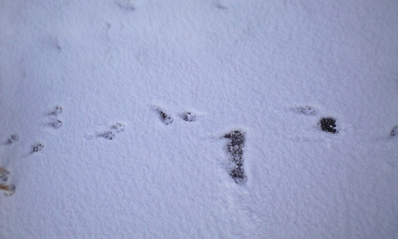 e0227023_20551367.jpg
