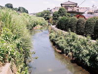 f0086426_23354999.jpg