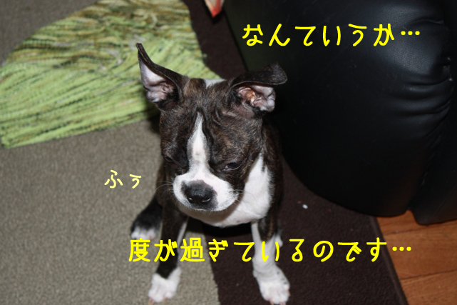 a0190132_18115528.jpg