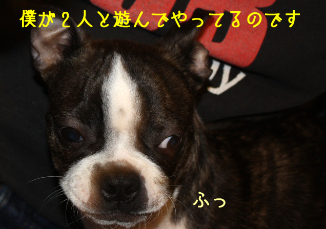 a0190132_18214936.jpg