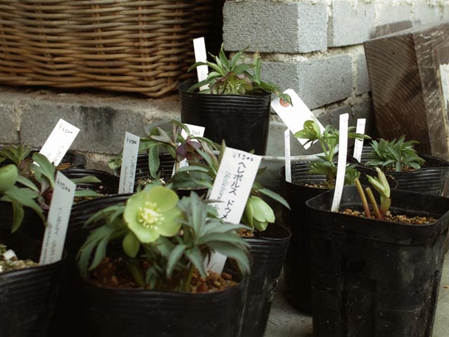 c0227239_857664.jpg