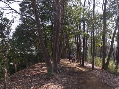 b0120541_23222110.jpg