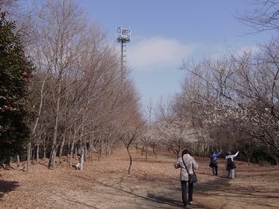 b0120541_23232858.jpg