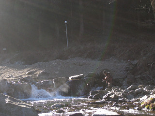 f0065341_1014092.jpg