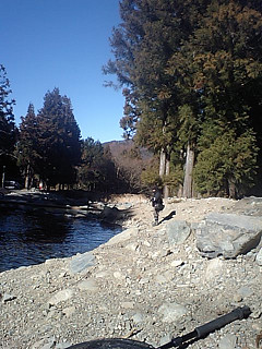 f0065341_1046585.jpg