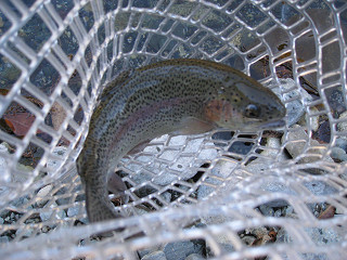 f0065341_10501042.jpg