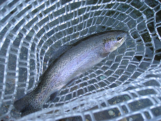 f0065341_1085055.jpg