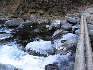 f0065341_11245517.jpg