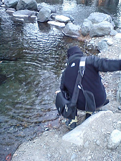 f0065341_12463392.jpg
