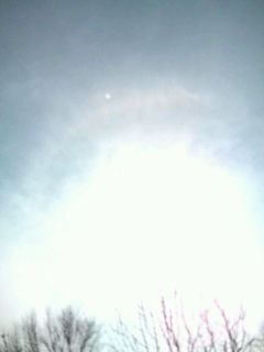 d0187864_18552746.jpg