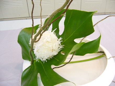e0086864_0223421.jpg