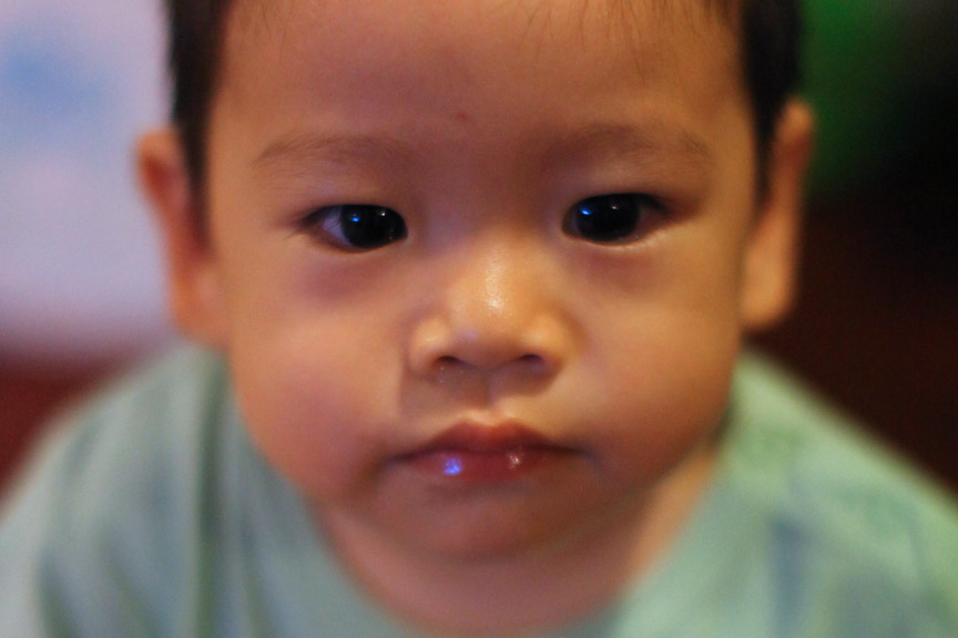 b0149365_1145350.jpg