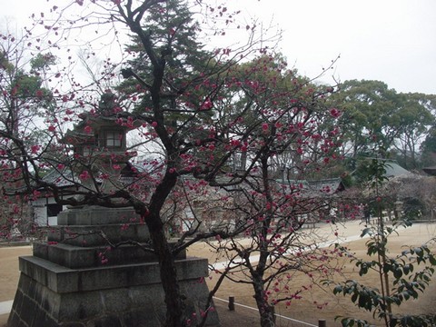b0194872_20174291.jpg