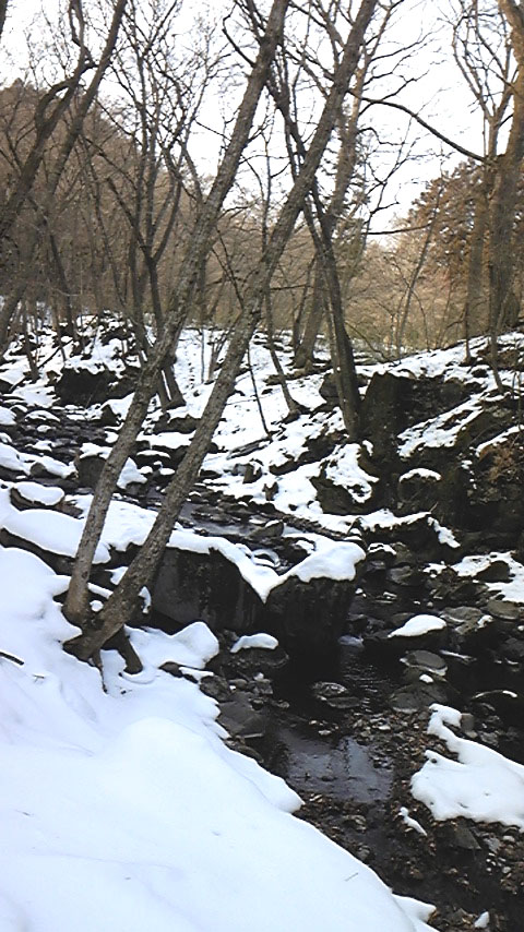 e0118274_1839529.jpg