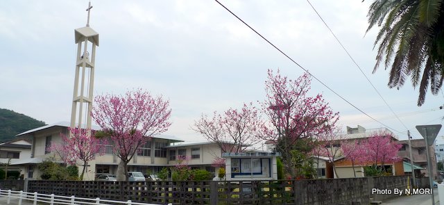 b0115085_13284026.jpg