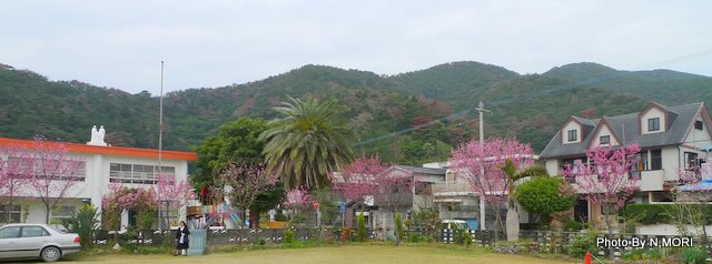 b0115085_1329853.jpg