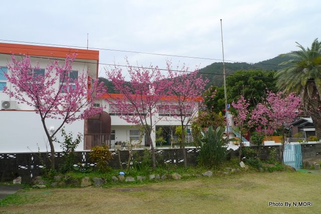 b0115085_13301272.jpg
