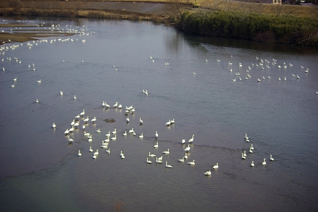 c0125596_22151864.jpg