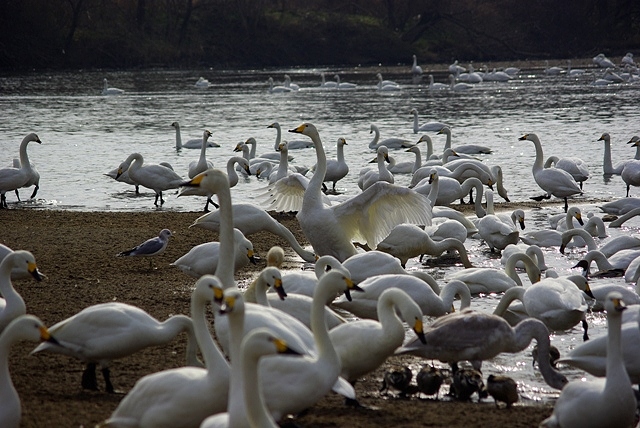 c0125596_2225094.jpg