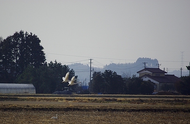c0125596_22321233.jpg