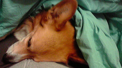 f0077097_2233222.jpg