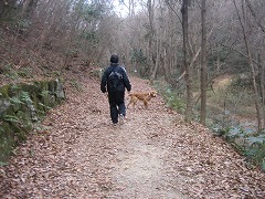 c0196701_1137212.jpg