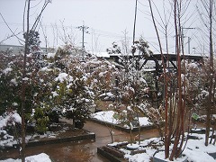 c0196701_123095.jpg
