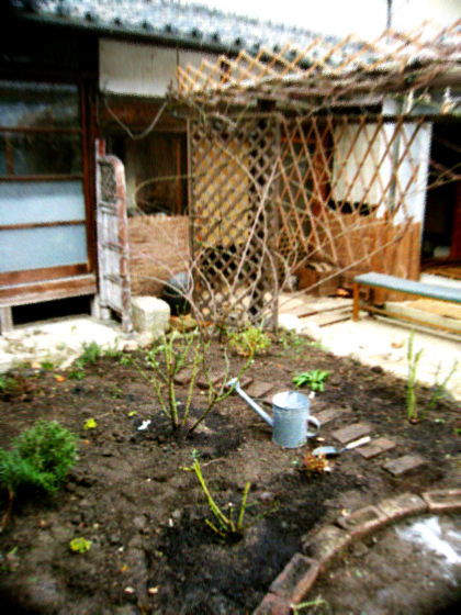 d0077603_10125656.jpg