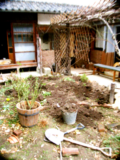 d0077603_106475.jpg